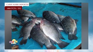 Combien ça coûte | Le prix des poissons en Côte d'Ivoire