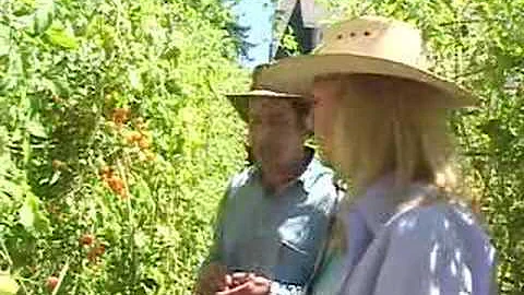 "Dave Egbert" The Coastal Gardener Heirloom Tomatoes