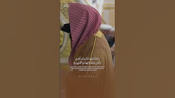 سورة يس: ٣٣ - ٣٦ | تلاوة الشيخ: #عبدالله_القرافي || #اكسبلور #حالات_واتس #الحرم #قرآن #المسجد_النبوي