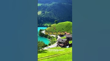 NGƯỜI KHÔN NGOAN KHÔNG BAO GIỜ NÓI 5 CÂU NÀY #trinhtrang #mape_academy #xaydungthuonghieucanhan