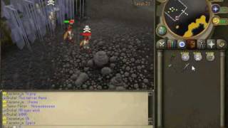 peterzscape 508 server