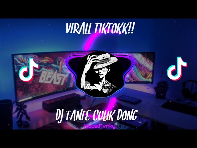 DJ TANTE CULIK DONG X WALAU COBA BERKALI KALI SLOW 2022-(nopalfvnky) class=