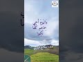 عنتره بن شداد لا يحمل الحقد من تعلو به الرتب شعر روائع الادب العربي عنتره بن شداد لا يحمل الحقد من تعلو به الرتب شعر روائع الادب العربي