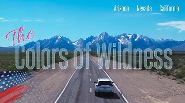 USA 2025. The Colors of Wildness...