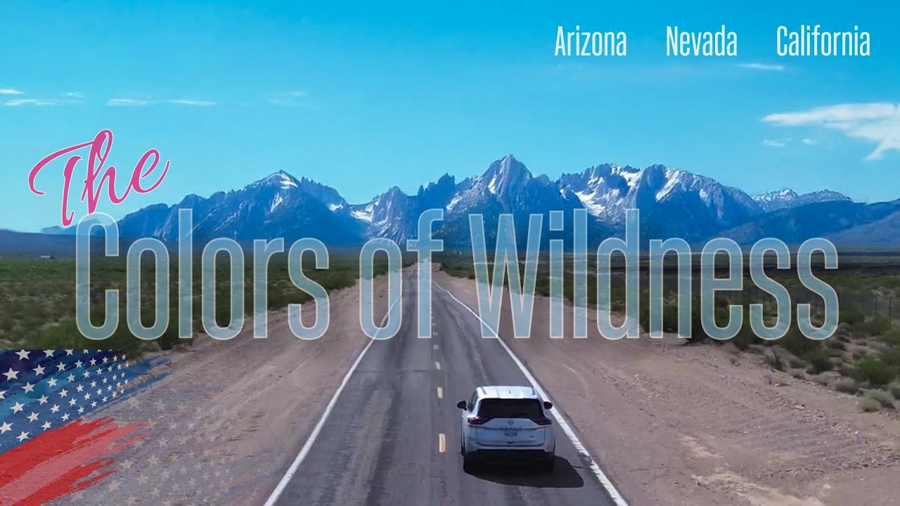 USA 2025. The Colors of Wildness...
