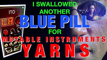 Mutable Instruments Yarns DIY Clone - My build with a Blue Pill Board