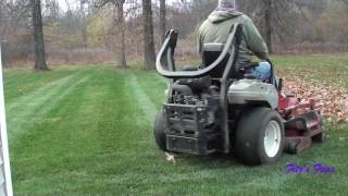 Leaf cleanup