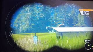 Turkey bear and pronghorn challenge