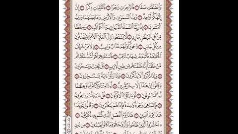 ص 446 القرآن الكريم صفحات بصوت المنشاوي نسخة الإذاعة