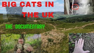 BRITAIN'S BIGCATS DOCUMENTARY ( solved for some )  100% IN TH3 W00D5