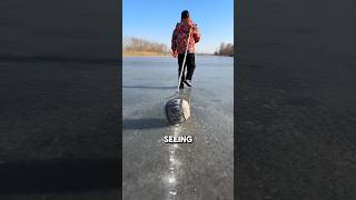 They Use Vibrations to Catch Fish ❄️