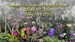 Tamiami International Orchid Festival, Jan. 1214, 2024 in Miami, Florida USA