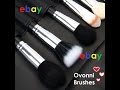 The Best Ebay Brush Set - Ovonni 11 Piece Set Review