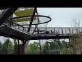 Francois langurs explore Primate Canopy Trails at Saint Louis Zoo