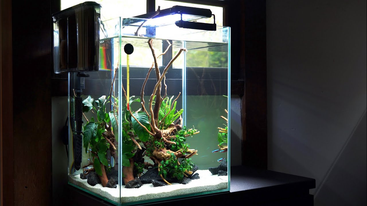 オンライン格安 フルーバル ナノ 水槽用ライト 魚用品 水草 Accesosalud Com Mx
