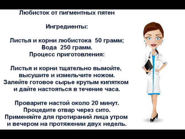 Трава любисток лечебные свойства, рецепты и противопоказания