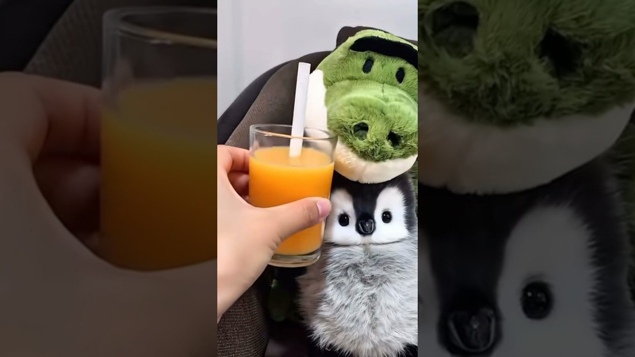 Tatlı penguin ❤️