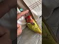 don't wake me up, dad