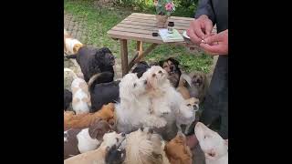 Robert Franzhunde Wollt Ihr Ewig Leben?Jaaaaahhh