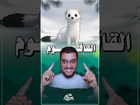 يشبه الفأر ولكنه أطول إنه القاقوم