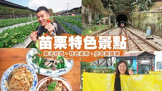 【苗栗景點】過年全家出遊就看這個~特色景點一次走透透！🍓草莓大豐收，特色染布DIY體驗、空中腳踏車之旅、可愛波波草打卡景點、在地人必吃豬頭肉 | 一日美食巡禮Ep.15