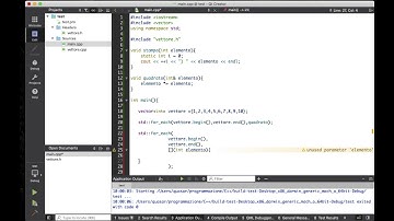 C++ [video 41] funzione anonima (espressione lambda)
