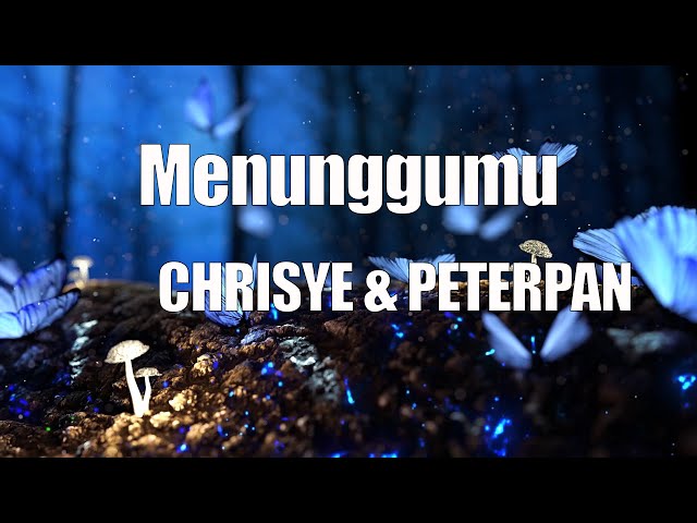 Chrisye feat. Peterpan - Menunggumu class=