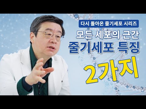 세포치료의 근간, 줄기세포치료가 가진 2가지 특징! 다시 돌아온 줄기세포 시리즈★