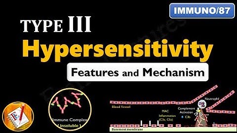 Type III Hypersensitivity Reactions: Main features and Mechanism (FL-Immuno/87)