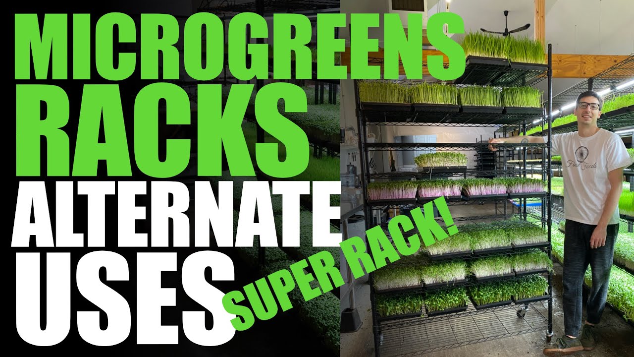 Other Uses For Your Microgreen Rack (Super Rack + Germination Rack