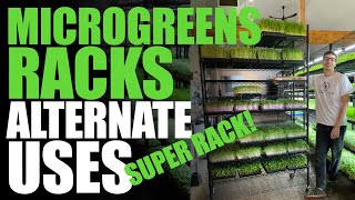 Other Uses For Your Microgreen Rack (Super Rack + Germination Rack)
