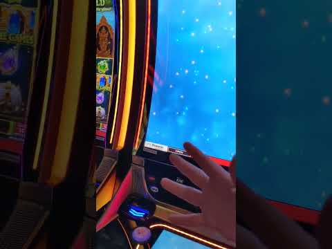 Lion Link Golden Rooster #holdandspin #lowroller #bonus #bonusspin #lowrollerslots #windcreekcasino