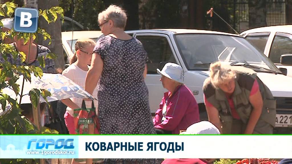 Арбузы и дыни - отравления и проверки 06.08.13 Город