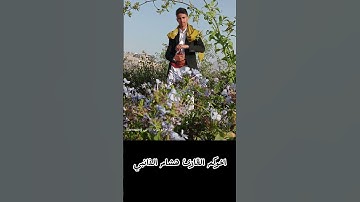 سوره ( الفيل )بصوت القارئ هشام الذانبي #اكسبلور # #المشير #البخل #لايك متابعه  اخوكم هشام الذانبي