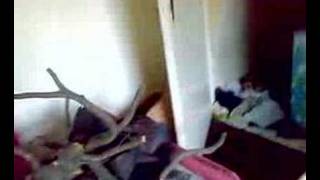 Download Lagu fre wondelgem exit MP3