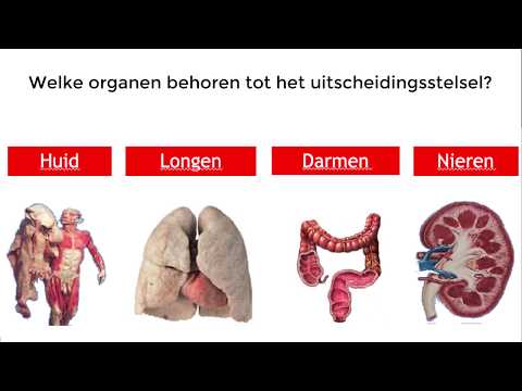 Video: Wat is sisteemteoretiese terminologie?