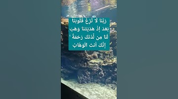 ( سورة آل عمران )   رَبَّنَا لَا تُزِغْ قُلُوبَنَا بَعْدَ إِذْ هَدَيْتَنَا وَهَبْ لَنَا مِن لَّدُنك