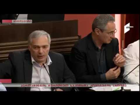 ალექსანდრე ბარამიძის გამოსვლა პარლამენტის იურიდიულ საკითხთა კომიტეტის სხდომაზე (15.04.2019)