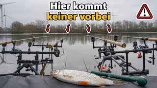 Zanderangeln mit Köderfisch auf Grund | Xxl Raubfisch Party inkl. Live Bisse