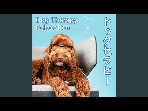 Obejrzyj ストレスが軽減 w YouTube