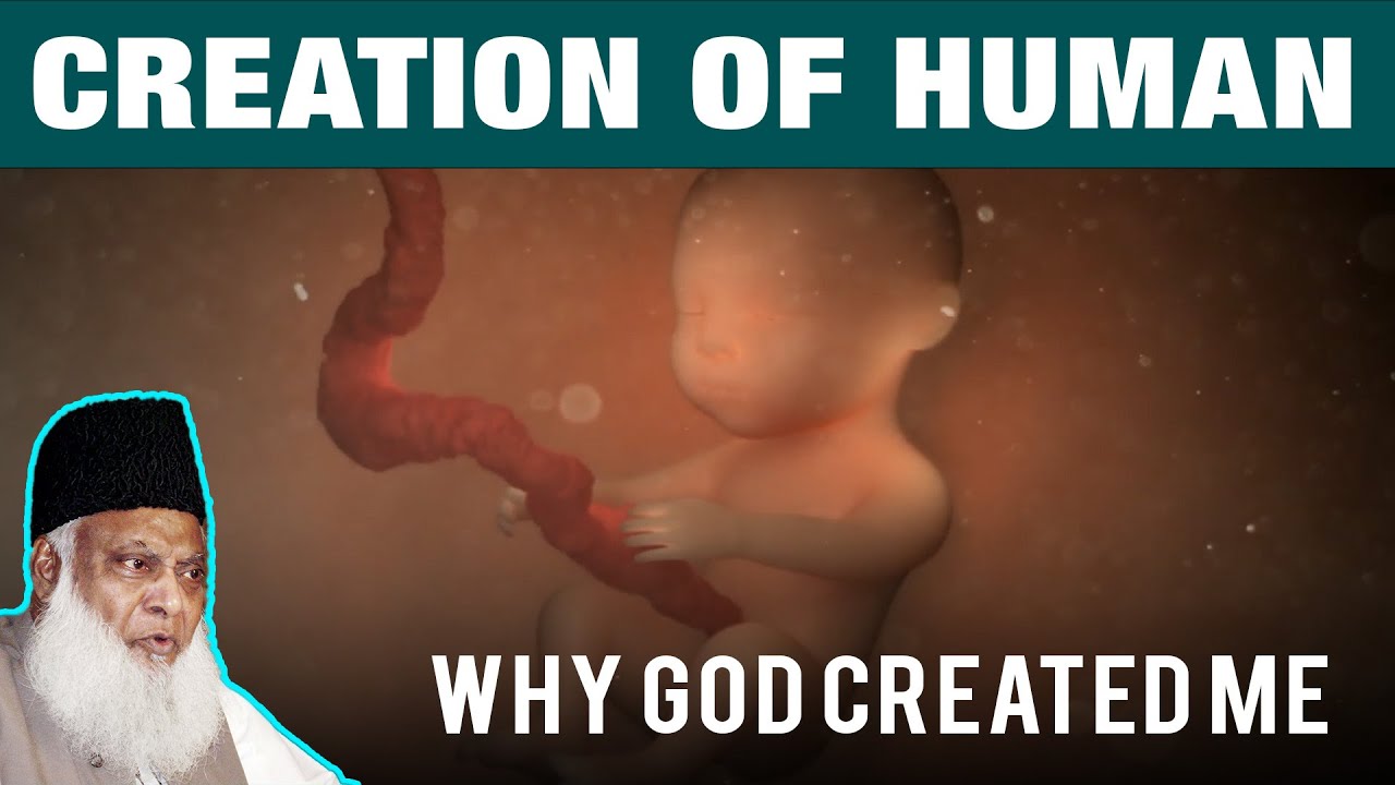 Creation of Human  Why ALLAH Created You  Dr Israr Ahmed Heart Soothing Clip