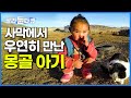 사막 건너다 마주친 볼 빨간 몽골 아기는 하루 종일 뭘 할까? 따라가봤더니 펼쳐진 놀라운 일상│유목민 게르│세계테마기행│#골라듄다큐