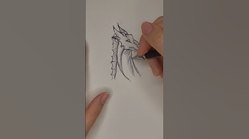 Drawing a dragon. A new style.