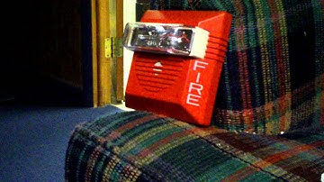 Wheelock NS24MCW Code 3