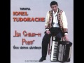 Ionel Tudorache - Codin