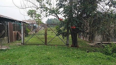 (Đã Bán)đất thổ cư 350m đường thông huyện Củ Chi giá 1,55 tỷ