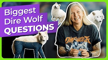 We Answer Your Biggest Dire Wolf Questions