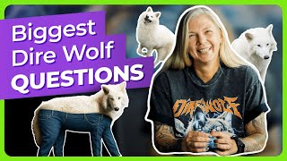 We Answer Your Biggest Dire Wolf Questions