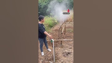 Béc phun sương đồng đơn hướng tưới cây tươi rau vườn cây giá rẻ #becphunsuong