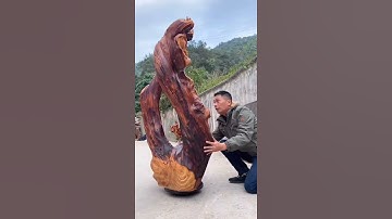 nghệ thuật gỗ lũa đỉnh cao #shorts #xuhuong #dieukhac #nghethuat #thucongmynghe #phobien